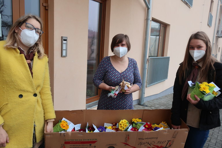 Primulky – předzvěst jara a poděkování za naši práci