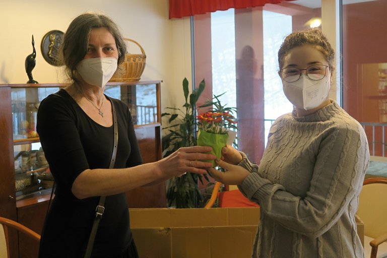 Primulky – předzvěst jara a poděkování za naši práci