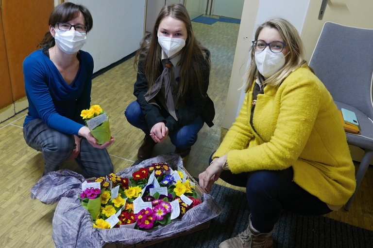 Primulky – předzvěst jara a poděkování za naši práci