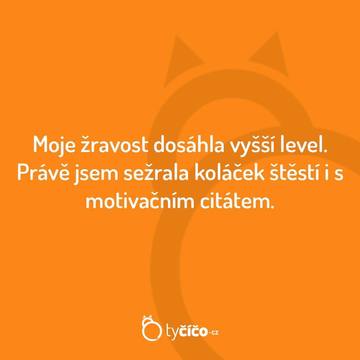 Páteční Diaenergizer 1