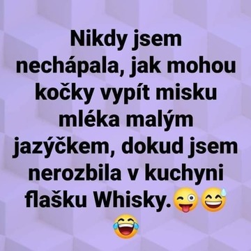 Páteční Diaenergizer 3