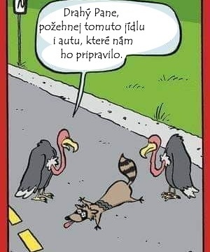 Páteční Diaenergizer Velikonoční