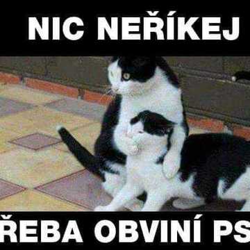Páteční Diaenergizer 7