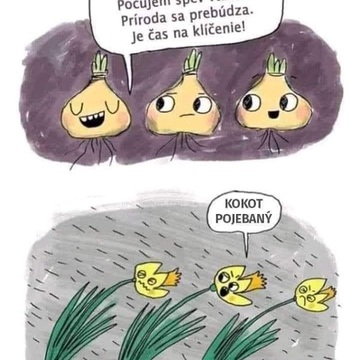 Páteční Diaenergizer 9