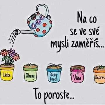 Páteční Diaenergizer 10