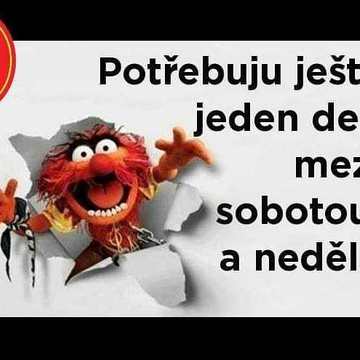 Páteční Diaenergizer 12