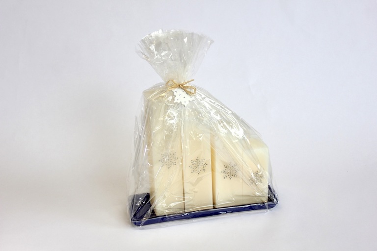 13. Dobročinná aukce